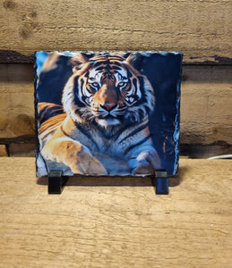 Tiger Photo Slates 150x150mm gloss