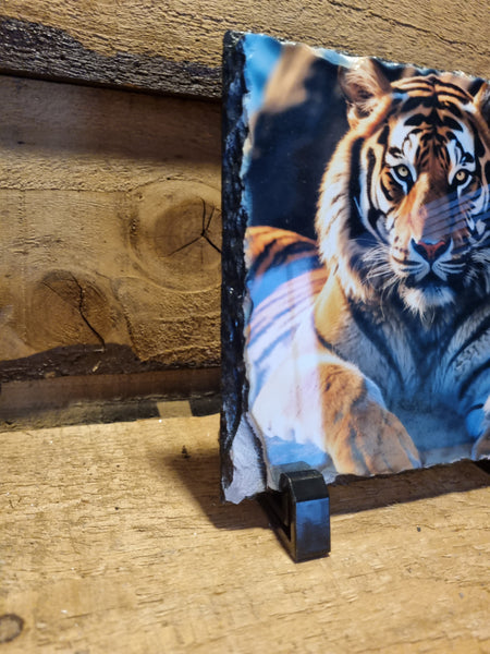 Tiger Photo Slates 150x150mm gloss