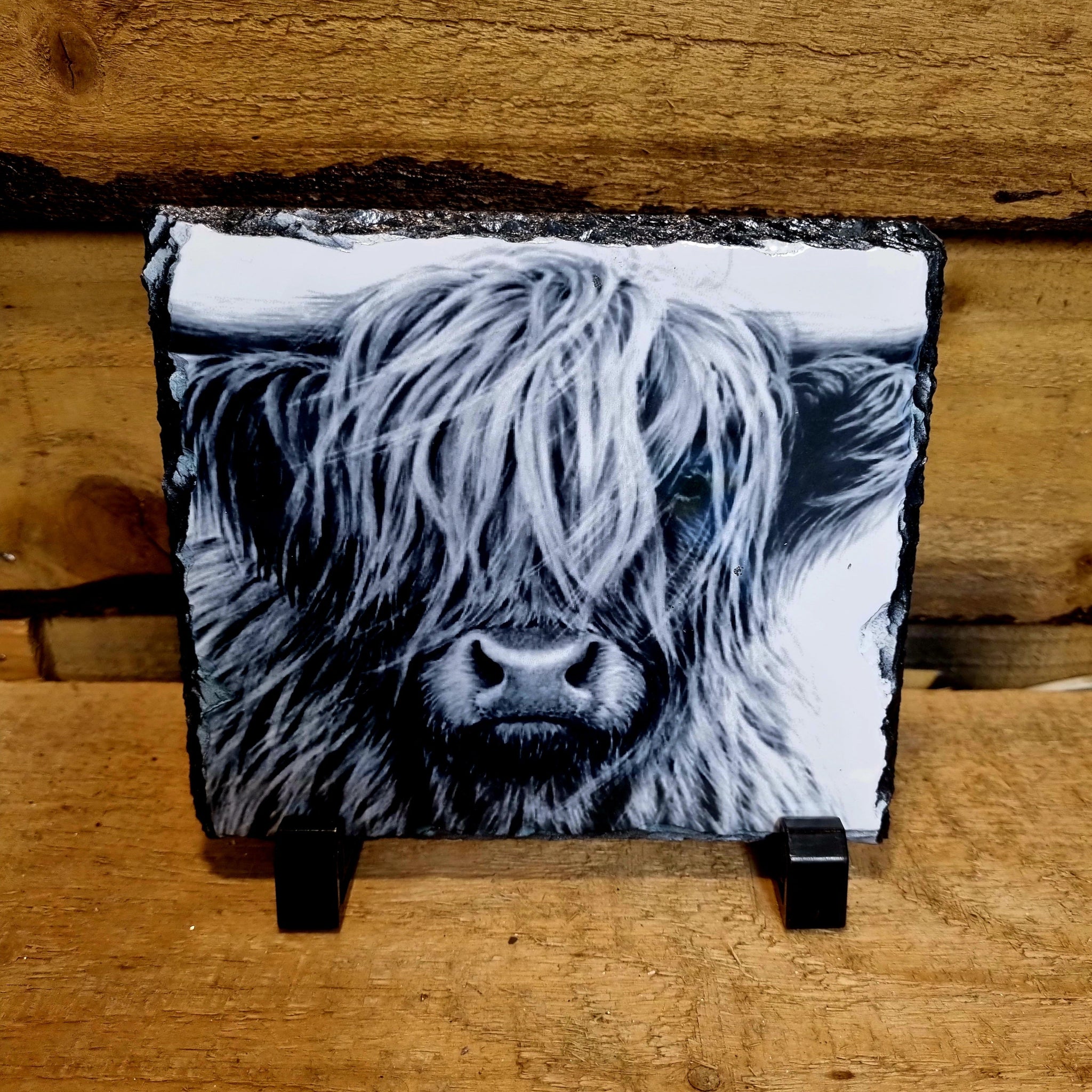 Highland Cow Black and White  Photo Slates 150x150mm gloss