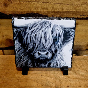 Highland Cow Black and White  Photo Slates 150x150mm gloss