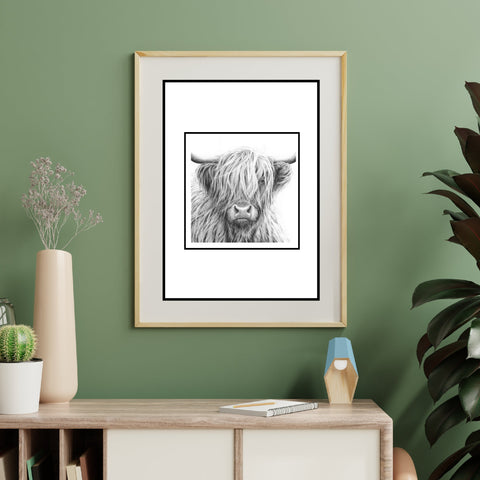 Highland Cow photo prints