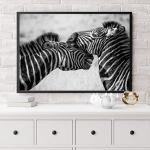 Zebra photo prints A3